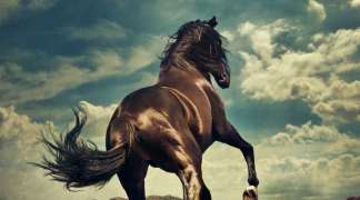 Western Stars non un capolavoro ma una rivincita: quella di Springsteen sul pop